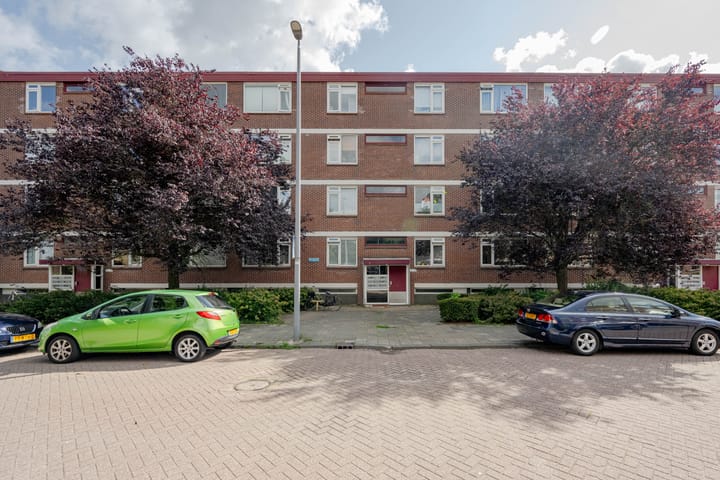 Ruigoord 60 in Rotterdam