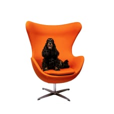 Photo de Saar van Bracht