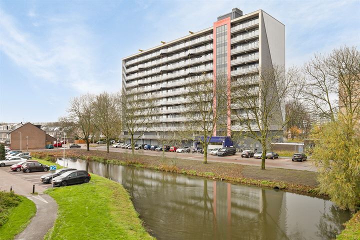 Saffierstraat 98 in Alphen aan den Rijn