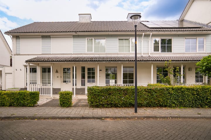 Salomonsakker 56 in Hedel