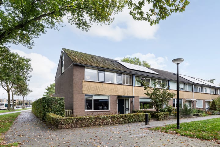 Salomonszegel 49 in Apeldoorn