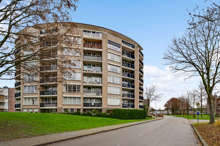 Salviabeemd 31D in Maastricht