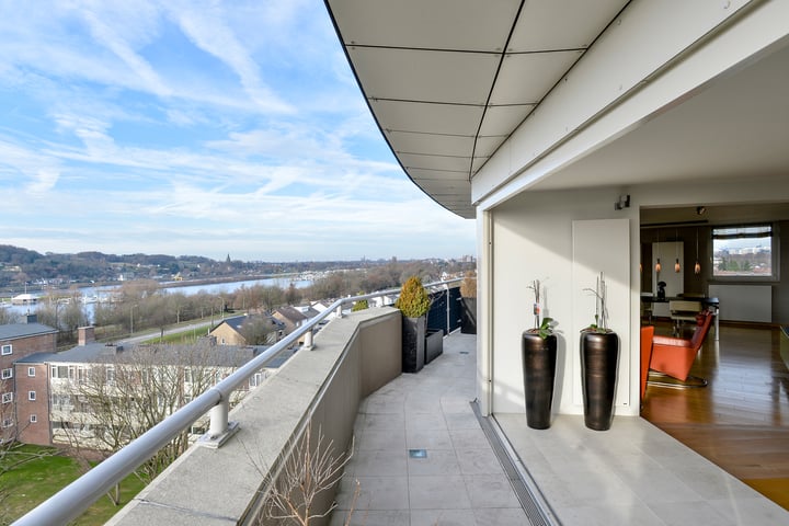 Salviabeemd 39H in Maastricht