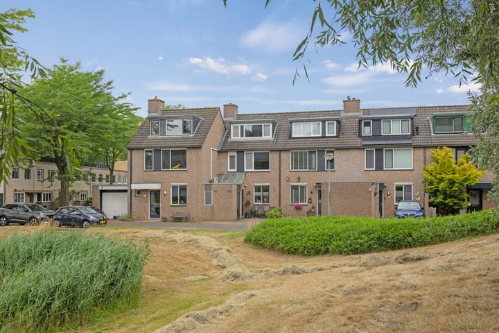Satijnvlinder 3 in Amersfoort