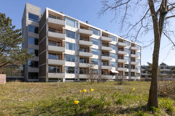 Saxenrodeweg 62 in Bentveld