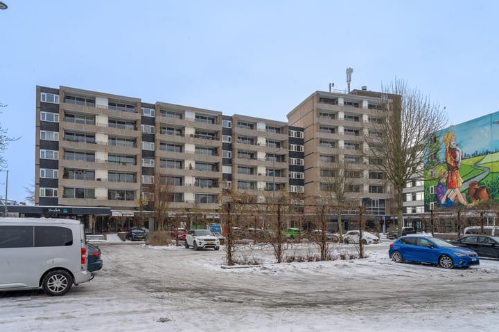 Schapendries 69 in Oosterhout