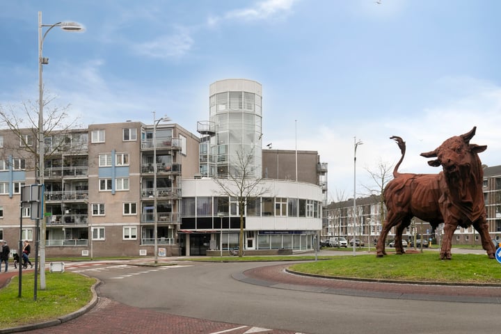 Scheltussingel 156 in Amersfoort