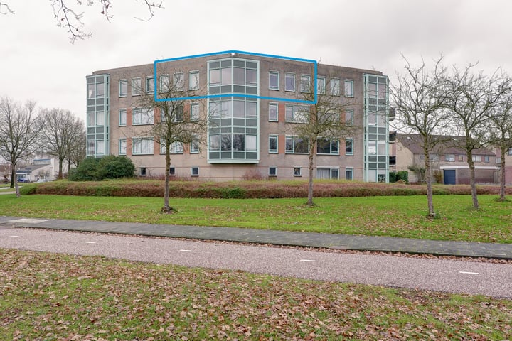 Schepelgoorn 8B in Assen