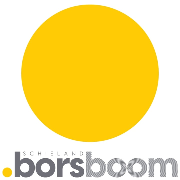 Logo Schieland Borsboom NVM Makelaars