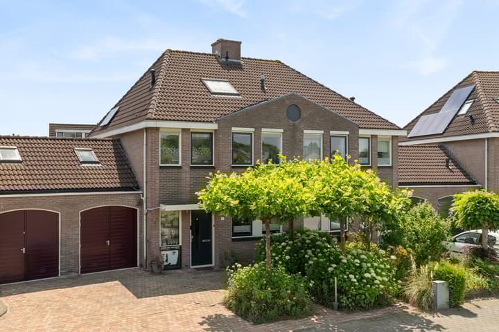 Schijfkamille 9 in Breda