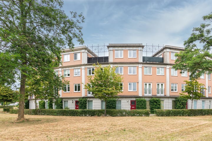 Schijfmos 15 in Houten foto