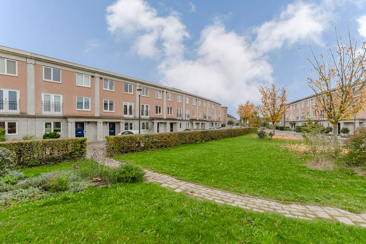 Schijfmos 48 in Houten