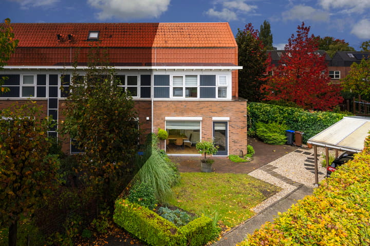 Schoenlappervlinder 36 in Utrecht