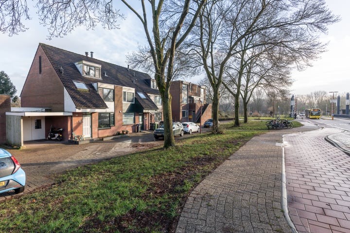 Scholekster 2 in Nieuwegein