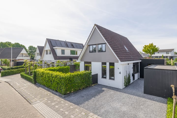 Schorpioen 4 in Lemmer