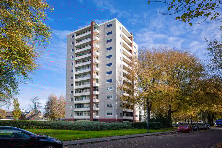 Schotlandstraat 310 in Haarlem