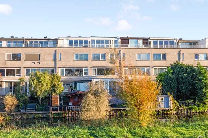 Schotse Hooglanden 14C in Amsterdam