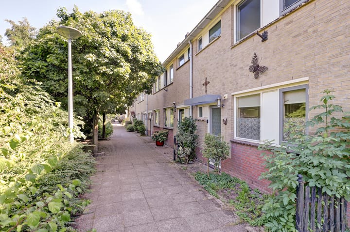 Severijnpad 6 in Alkmaar photo