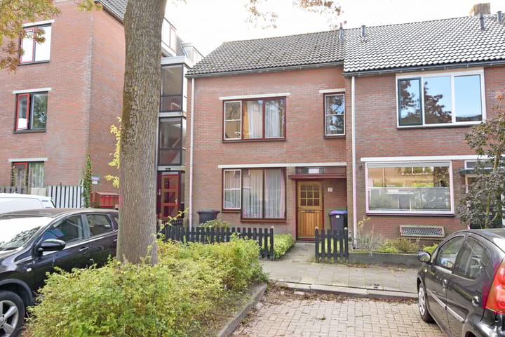 Shetlands 25 in Utrecht foto