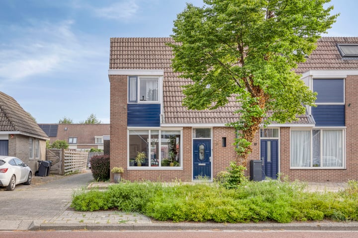 Silene 19 in Kampen