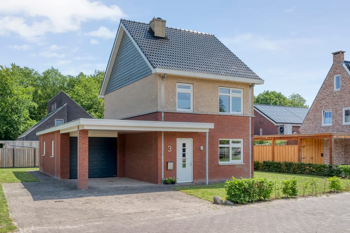 Singel 3 in Pesse