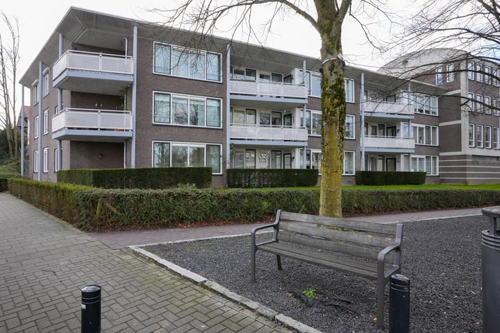 Sjwats Jris 2 in Vaals