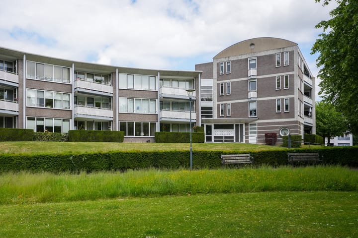 Sjwats Jris 33 in Vaals