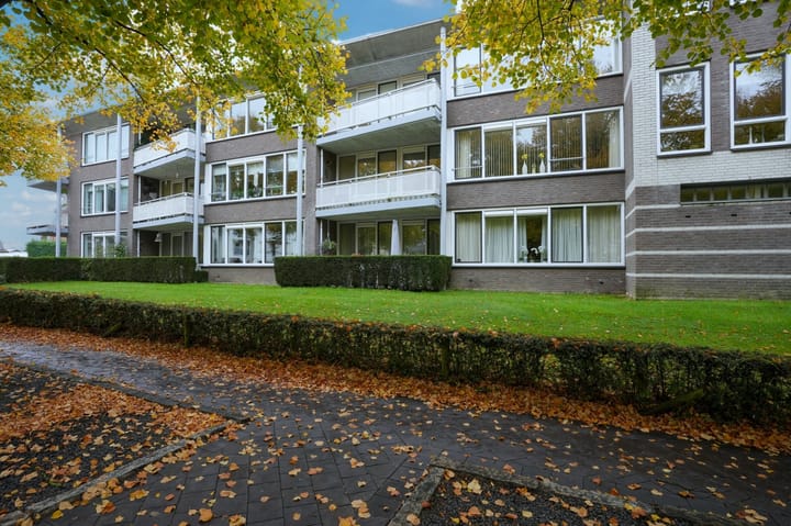 Sjwats Jris 38 in Vaals
