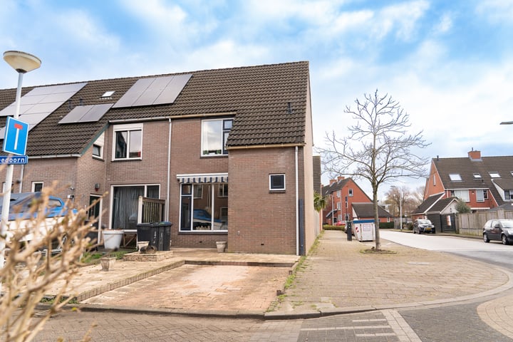 Photo of property Sleedoorn 2, Hellevoetsluis
