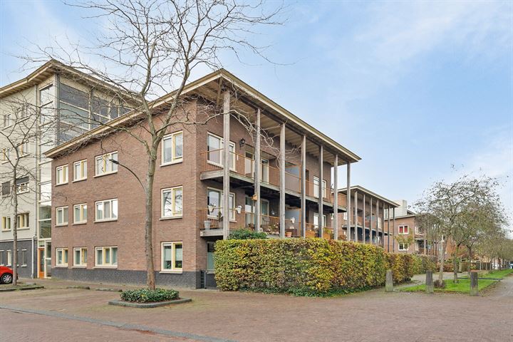 Snavelzegge 48 in Zwolle