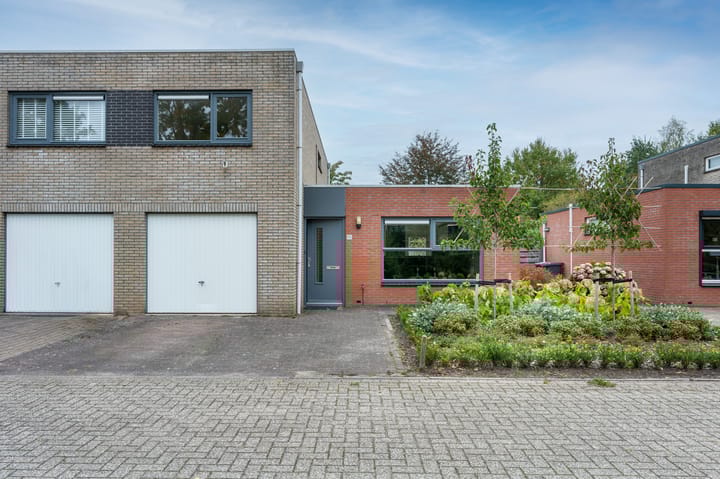 Sneeuwuil 65 in Emmen