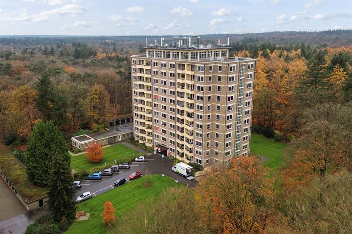 Soerenseweg 125-51 in Apeldoorn