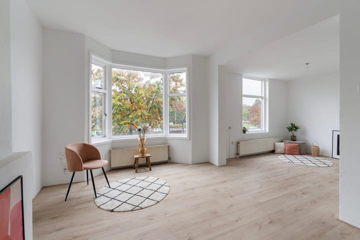 Soestdijksekade 828 in 's-Gravenhage