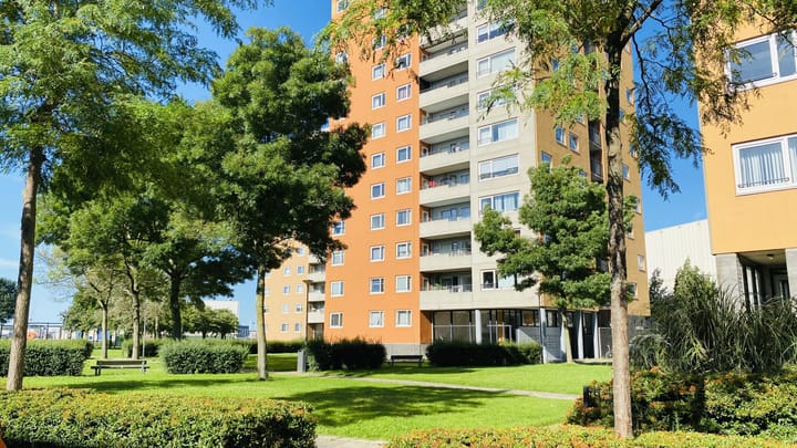 Speedwellstraat 214 in Rotterdam photo