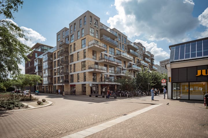 Spiegeltuin 58 in 's-Hertogenbosch