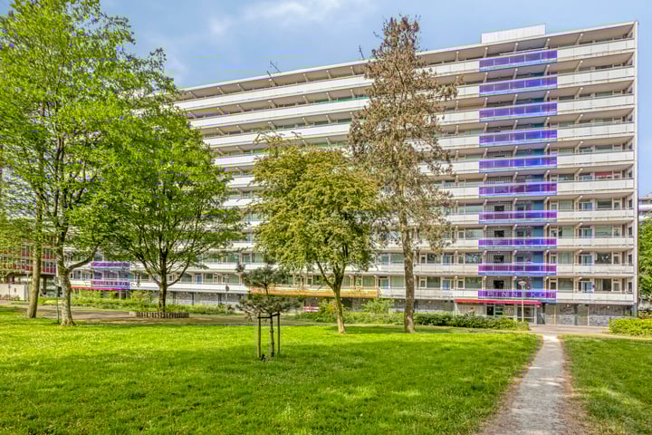 Spinnekop 35 in Amsterdam