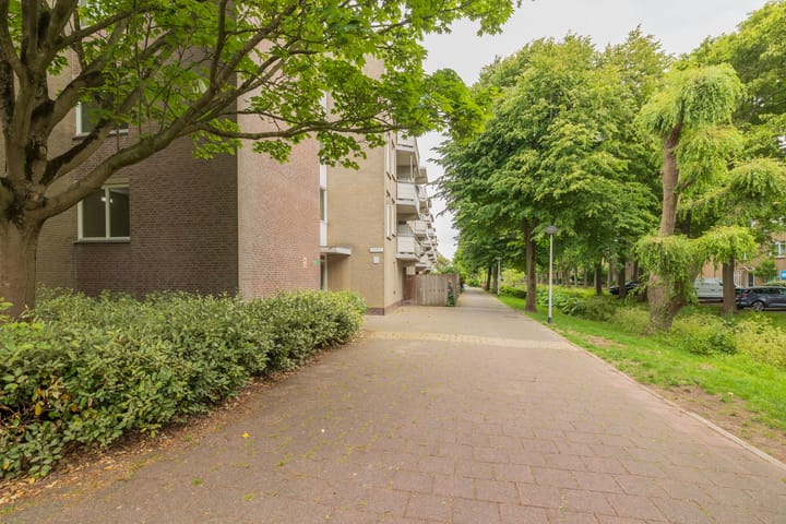 Springtij 7 in Noordwijk