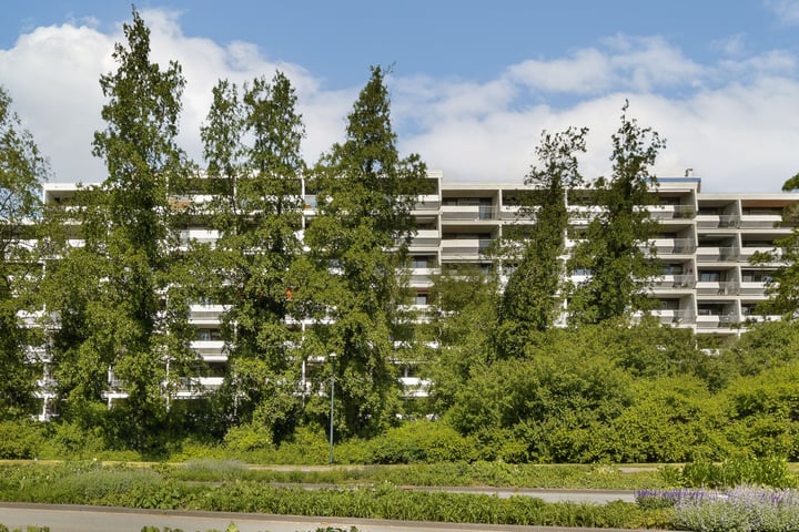 Stadzicht 39 in Leiden