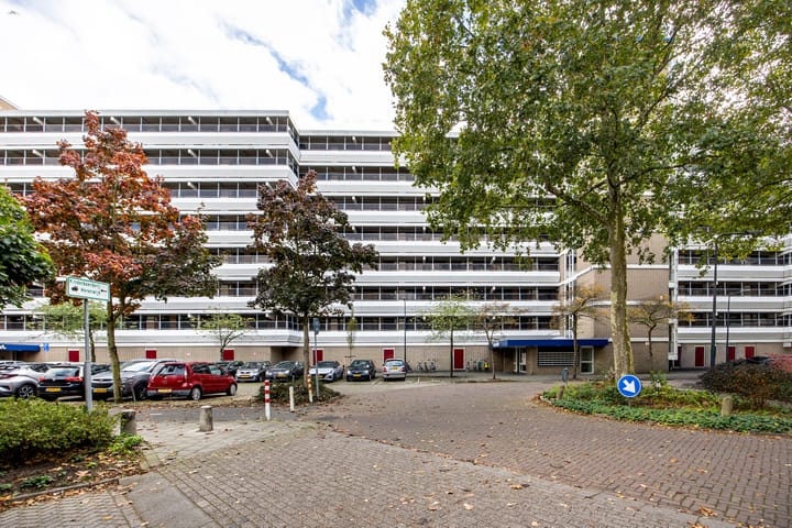 Stadzicht 60 in Leiden photo