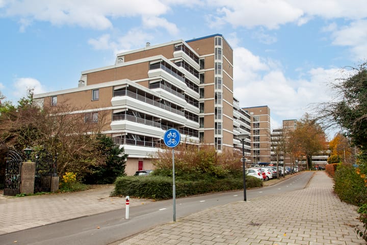 Stadzicht 61 in Leiden