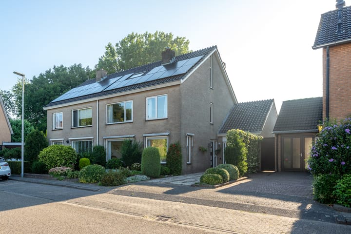 Standerdmolen 9 in Vianen