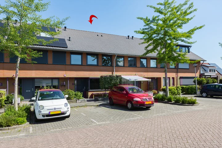 Steenbreekvaren 64 in Bergschenhoek