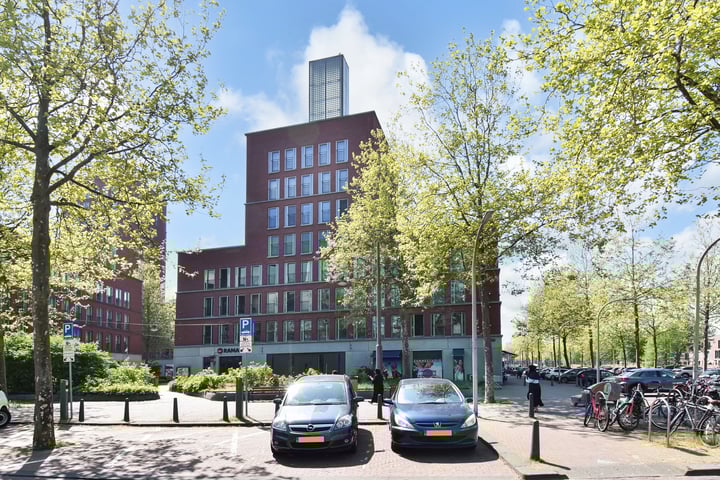 Steentijdsingel 85 in 's-Gravenhage