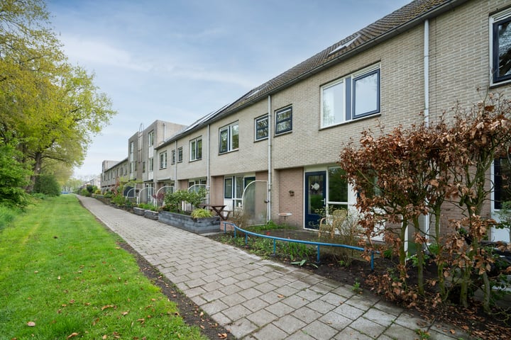 Steenuil 109 in Emmen Foto