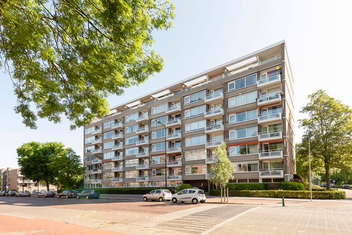 Steenvoordelaan 101 in Rijswijk