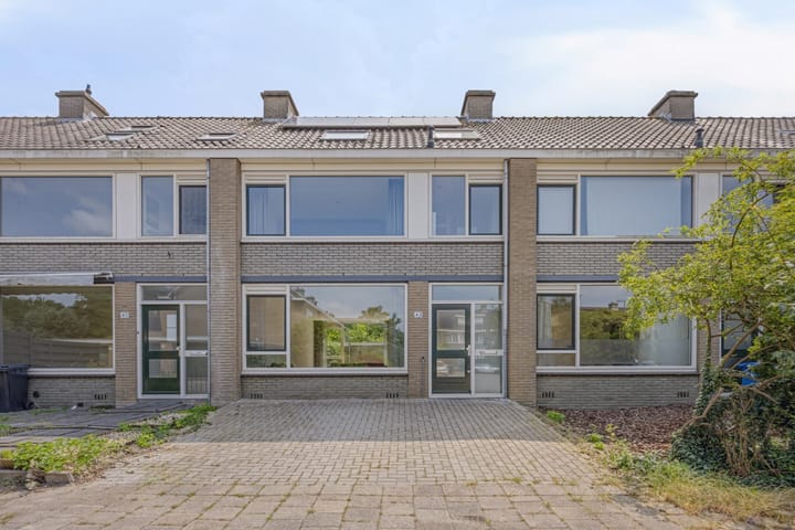 Stekelbrem 43 in Rotterdam Foto