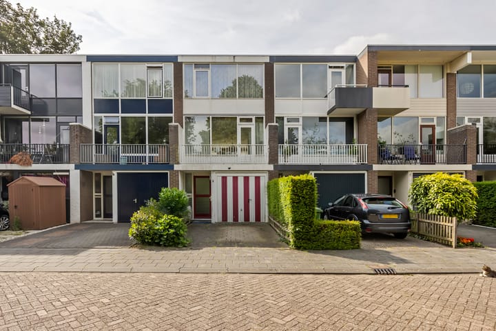 Stenen Beer 8 in Gorinchem