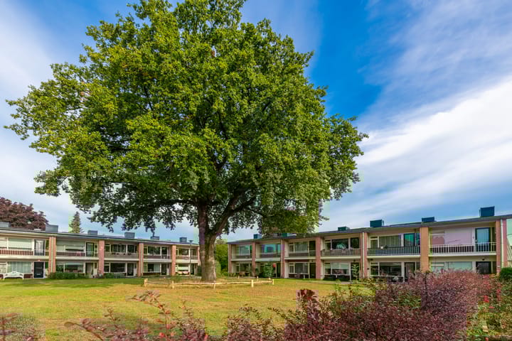 Steniahof 125 in Zeist