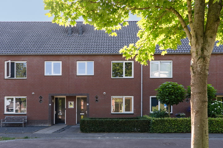 Sterappel 64 in Barneveld