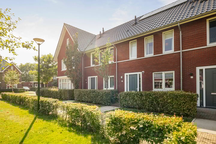 Sterhyacint 25 in Twello